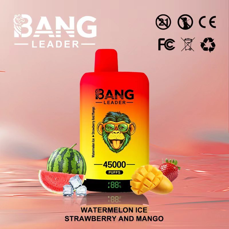 Bang Leader 45K Puffs 2-in-1 Prefilled Vape | Dual Flavor, Rechargeable